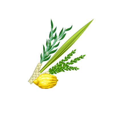 Lulav and Etrog set
