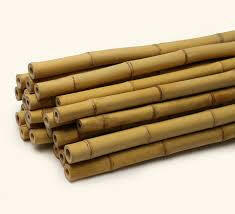 Bamboo Pole